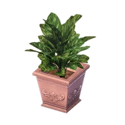 Color Leaf Potted Plant