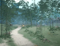 Green Bamboo Grove