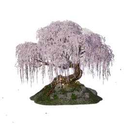 Warm Blossom Tree