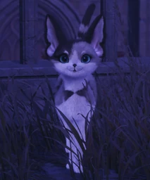 Peculiar Cat