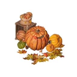 Thuddy Squash Feast