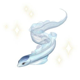 Fresh Ribbon Eel