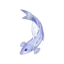 Hairpin Loach