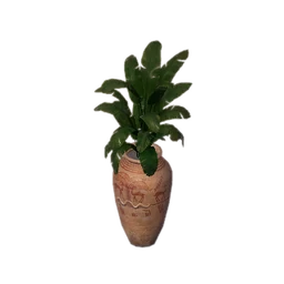 Simple Tall Ceramic Flowerpot