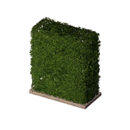 Square Shrub