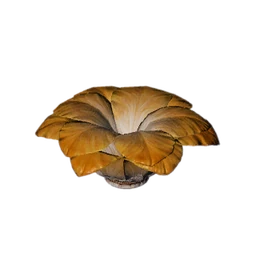 Petal-Shape Soft Brush