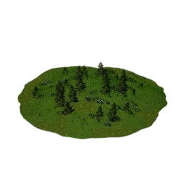 Shrub Grass Slope