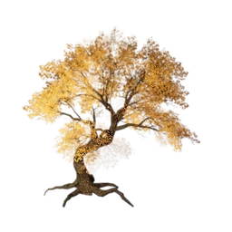 Wishball Tree