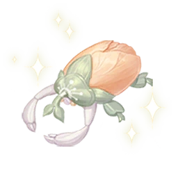 Aseno's Observation: Blossom Beetle