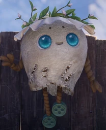 Cora