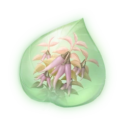 Plum Chilixy Essence