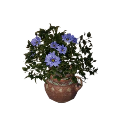 Colorful Vase