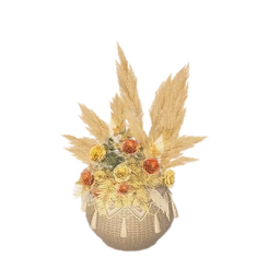 Blooming Haven Potted Plant
