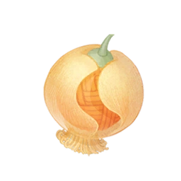 Woolfruit