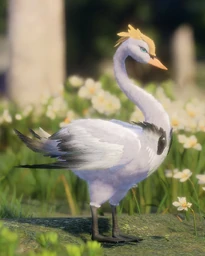 Tuxtail Swan