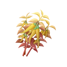 Golden Chilixy