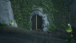 Volunteer Corps Camp Cavern