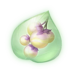 Pink Cloud Fruit Essence