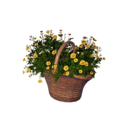 Rattan Basket