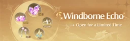 Windborne Echo