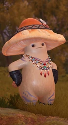 Hococo