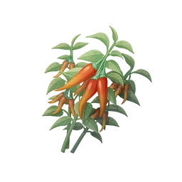 Red Chilixy