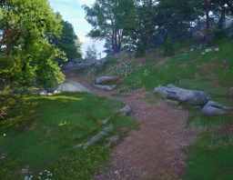 Outskirts Forest
