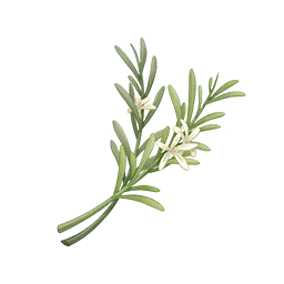 Meadow Zest