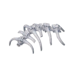 Sternum Fossil