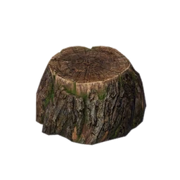 Tallie's Tall Stump