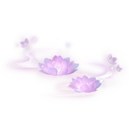Moon Lotus: Feet