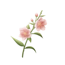 Petal Fragrance