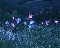 Blastbloom